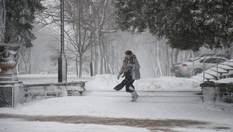      Фото: ИА «Победа26»