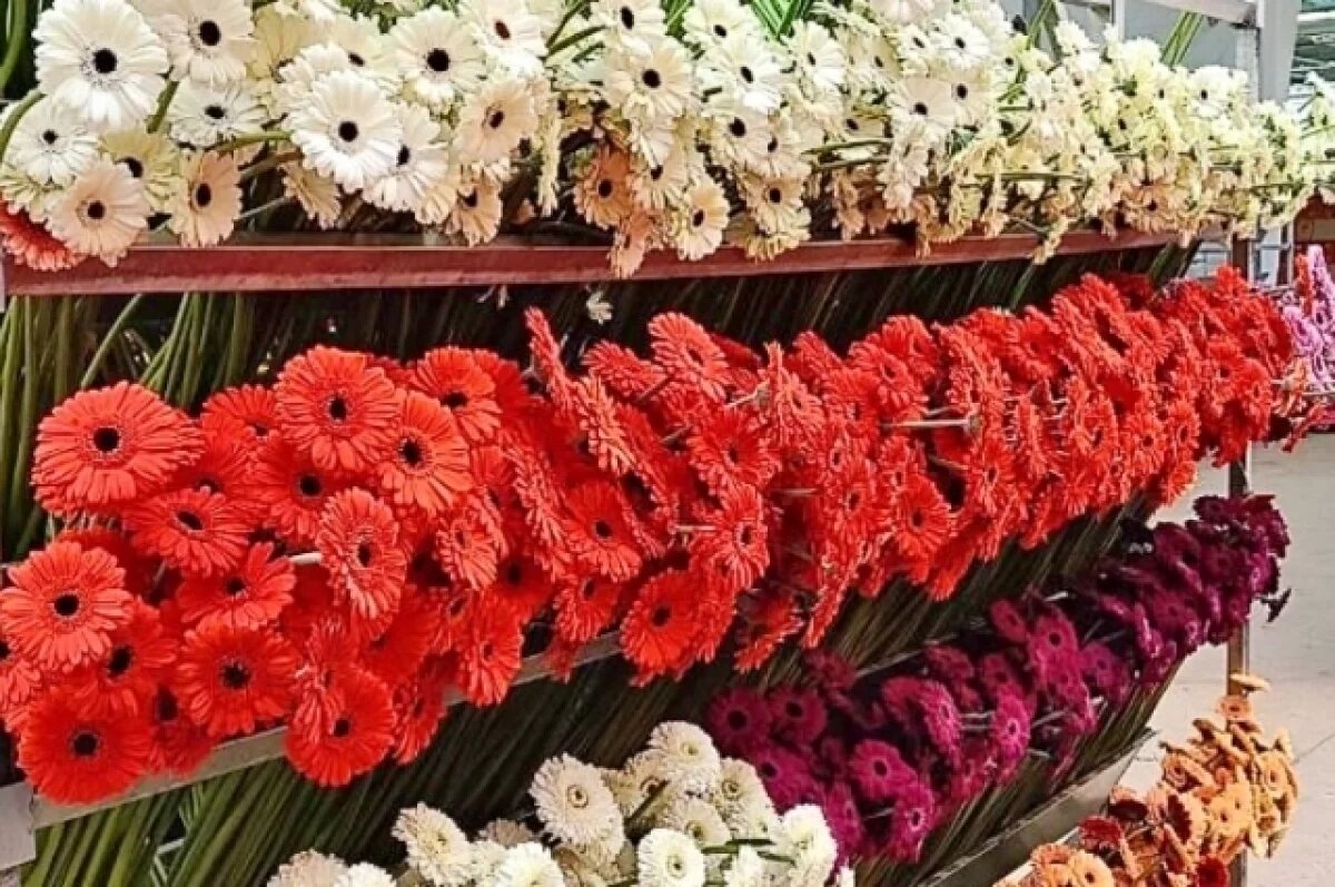    Перед 8 марта калужан предупреждают о цветочных мошенниках