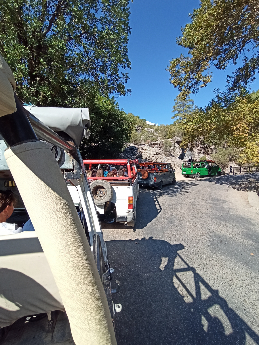 Паровозиком