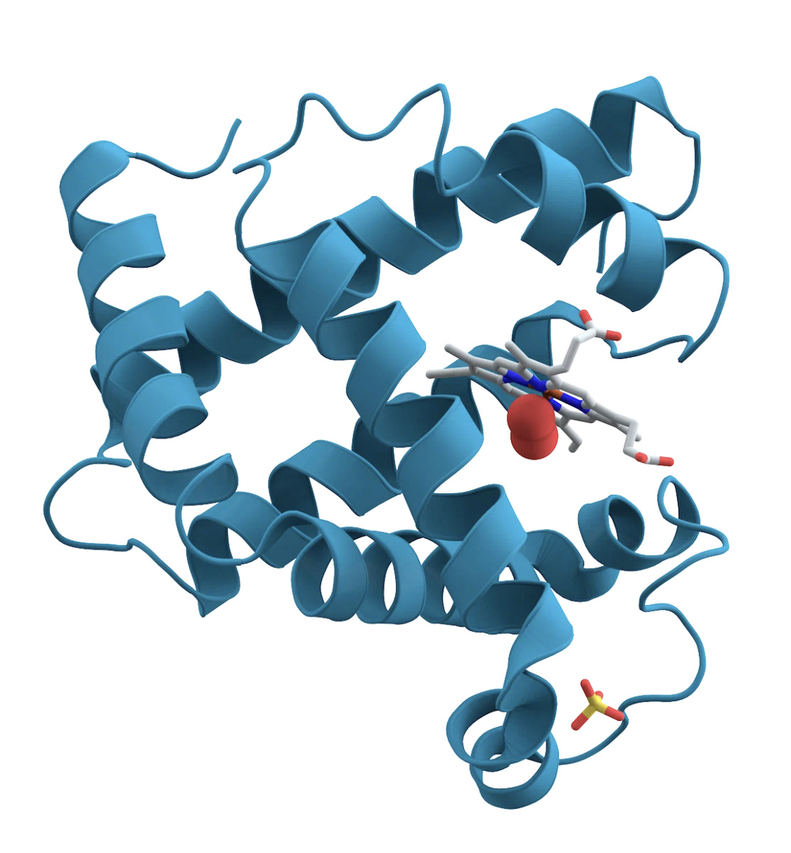 Мировой Дефицит.
Дефицит железа является основным и наиболее распространенным нарушением питания в мире. Дефицит железа, от которого страдают многие дети и женщины в развивающихся странах, является единственным видом недостаточности питательных веществ, который также в значительных масштабах распространен в промышленно-развитых странах. Уровни его распространенности поражают: 2 миллиарда человек, то есть более 30% населения мира, страдают от анемии, многие — в результате дефицита железа, который в районах с недостаточными ресурсами усугубляется инфекционными болезнями. Малярия, ВИЧ/СПИД, заражение анкилостомами, шистосомоз и другие инфекции, такие как туберкулез, являются особо важными факторами, способствующими высоким уровням распространенности анемии в некоторых районах. 
От дефицита железа страдает большее число людей, чем от какого-либо другого нарушения здоровья, представляющего собой проблему общественного здравоохранения, соизмеримую с эпидемией. Менее заметный в своих проявлениях, чем, к примеру, белково-энергетическая недостаточность, дефицит железа приводит к тяжелым последствиям — плохому здоровью и преждевременной смертности. 
Дефицит железа и анемия снижают производительность труда отдельных людей и целых групп населения, приводит к серьезным экономическим последствиям и создает препятствия на пути национального развития. 
