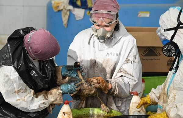 РИА Новости