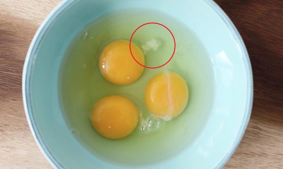    Поговорим о белых сгустках в яйцах, которые выглядят вот так. Источник изображения: yahoo.com