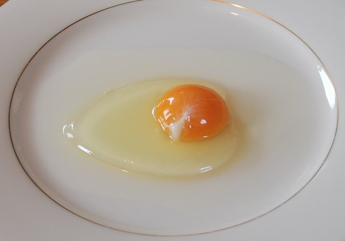    Яйца с халазами говорят о свежести продукта. Источник изображения: wikipedia.org