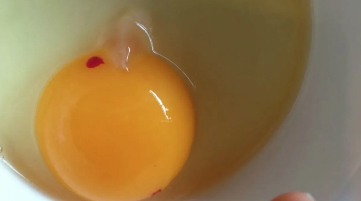    Пятно крови в яйце. Источник изображения: babyblog.ru