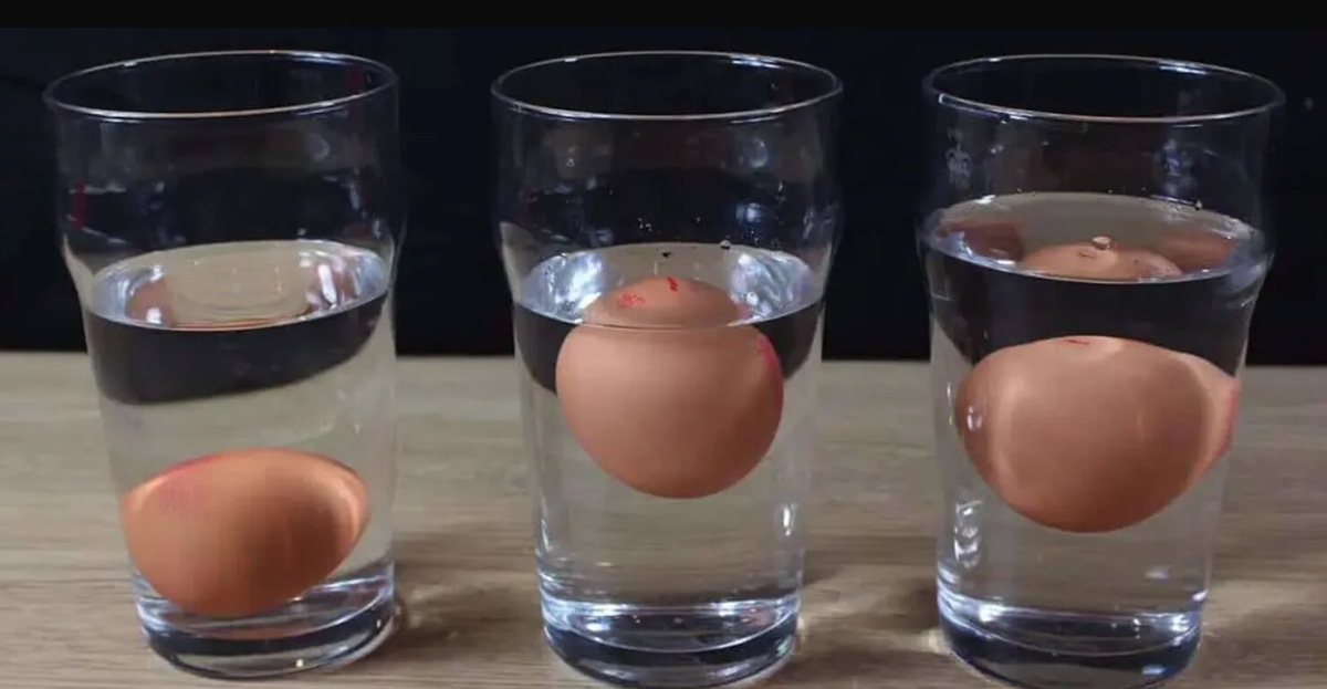    Яйцо в первом стакане свежее, а яйца во втором и третьем &mdash; уже начинают портиться. Источник изображения: bydlimeutulne.cz
