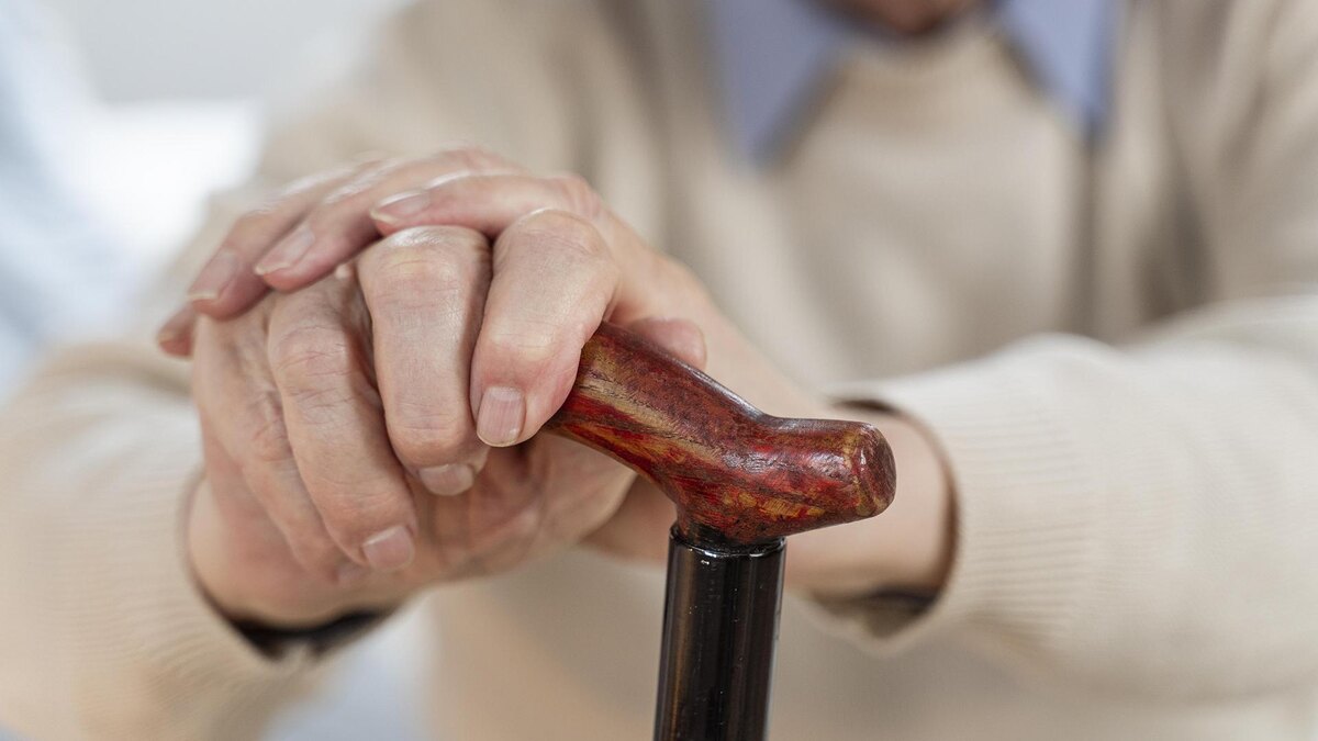    Фото: freepik.com