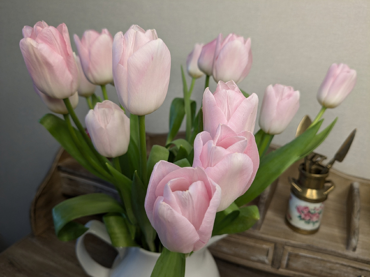 С праздником!