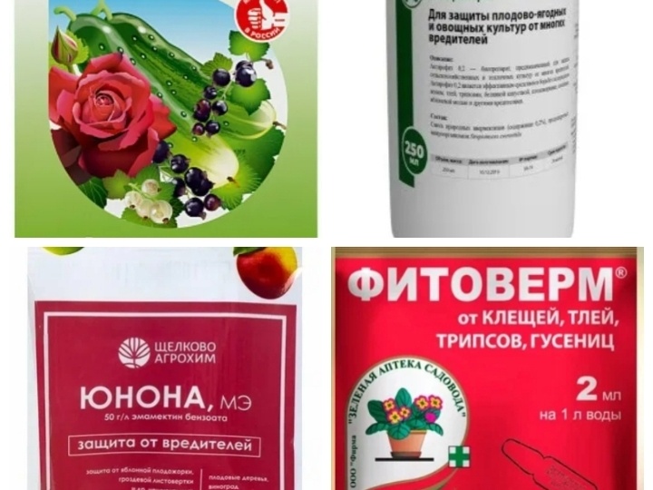 Безопасен ли фитоверм и его родственники? Когда приставка "био" не во благо