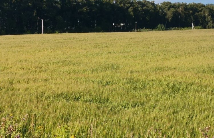    О новых инициативах поддержки фермеров рассказал Сергей Митин на Съезде АККОР