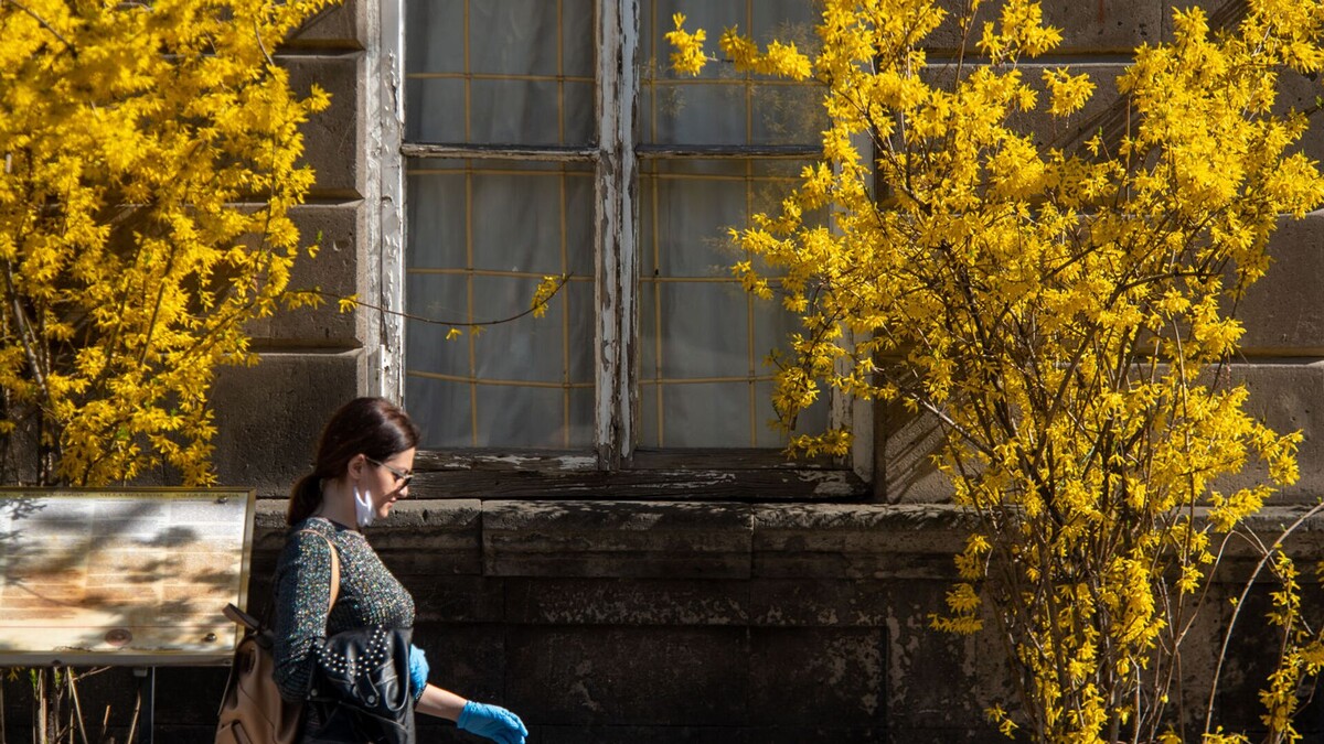 © Sputnik / Aram Nersesyan