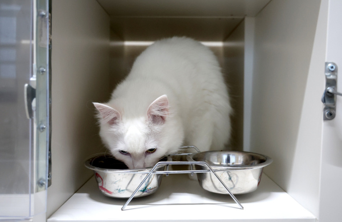    Вячеслав Прокофьев/ТАСС