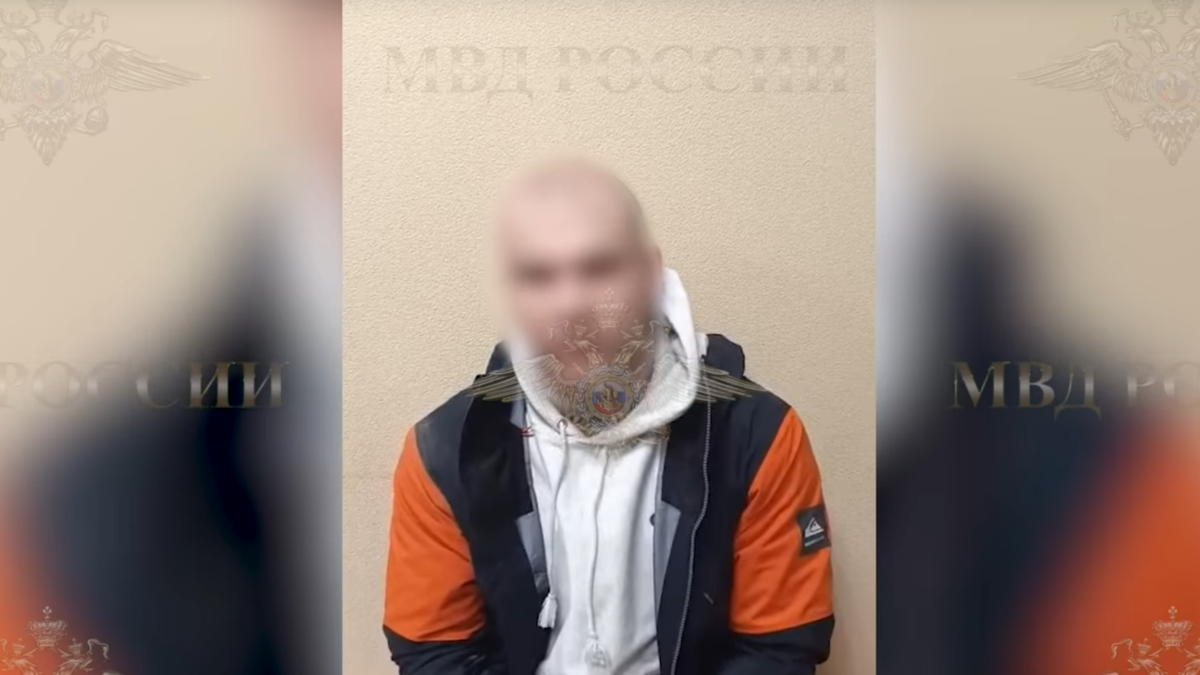    Скриншот из видео Telegram-канала Ирины Волк