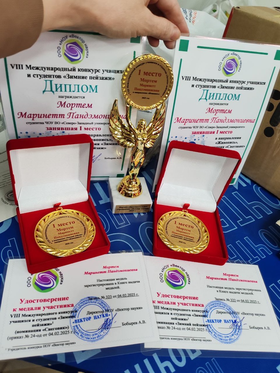 Награды: Маринетт Мортем, именной кубок, 2 именные медали и дипломы на VIII Международном конкурсе учащихся и студентов «Зимние пейзажи» 