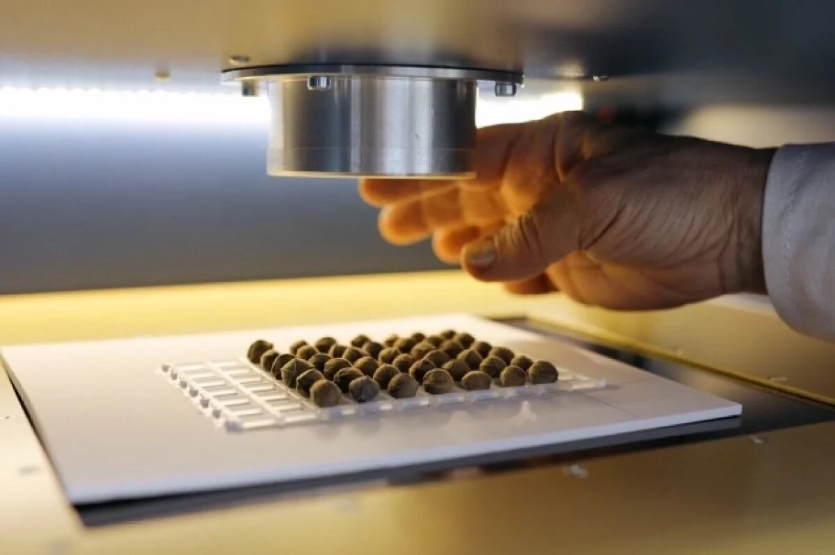    В магазинах Тверской области нашли сотню семян несуществующих сортов