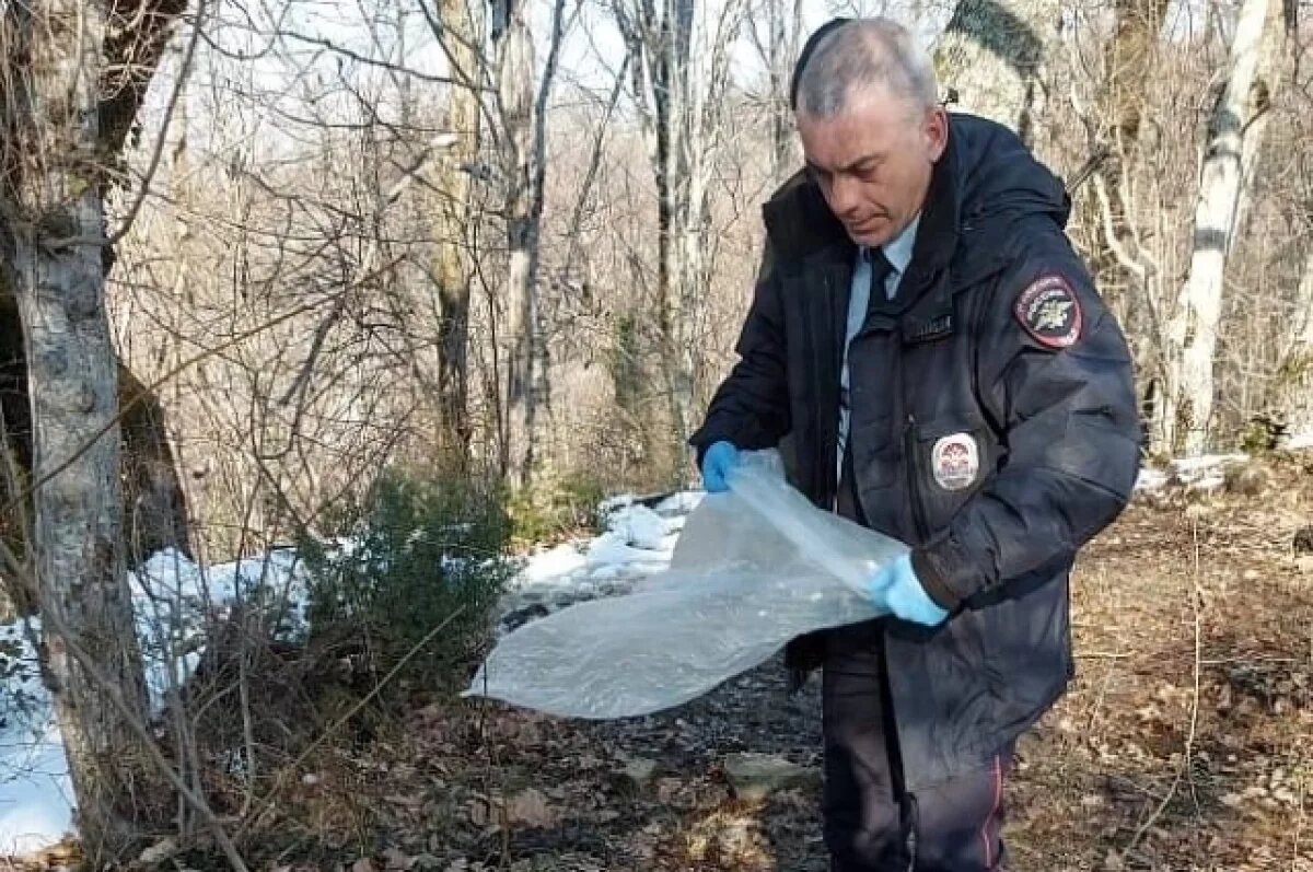    В Сочинском нацпарке задержали браконьера