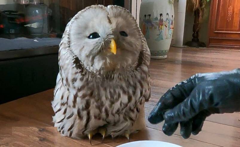    Источник фото: