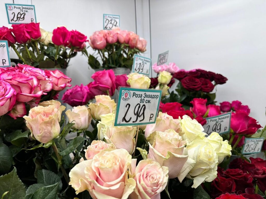    Фото: В курсе.ру Ульяна Бажанова