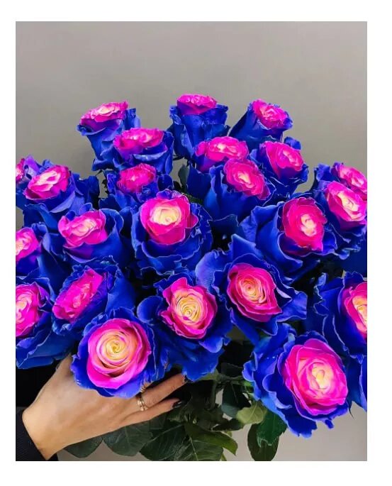 Фото: "Бамбук" магазин цветов.