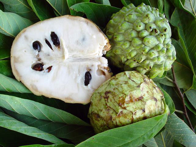 Плоды дереева Черимойя. В составе фрукта содержатся ценные вещества, которые благотворно влияют на кожу.