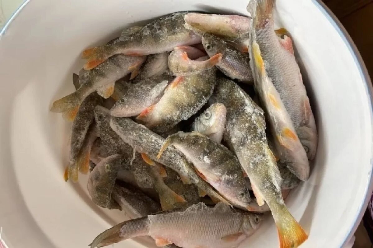    Томича будут судить за незаконный вылов сибирского осетра