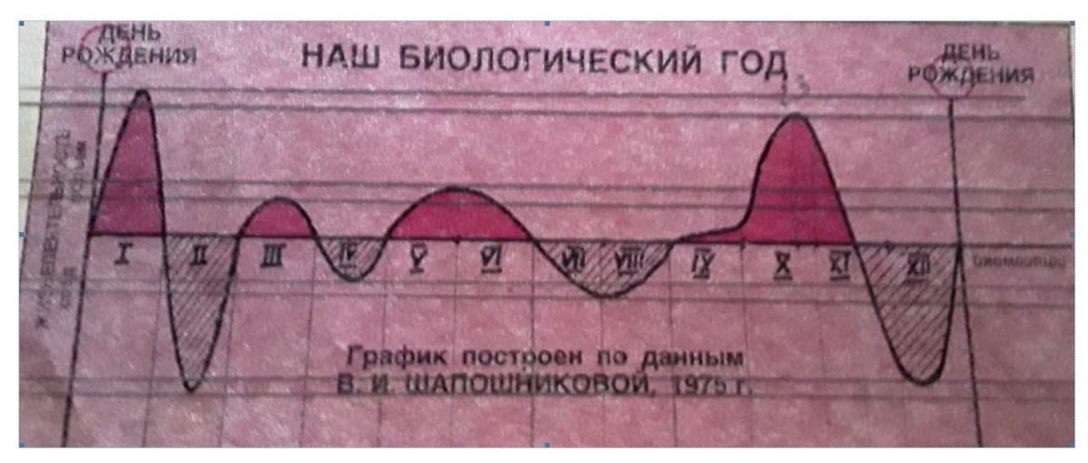 Фото взято из советского журнала «Работница»