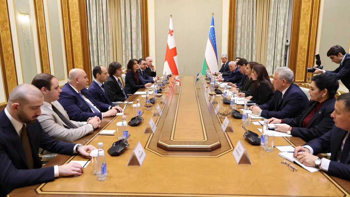 © facebook.com/GeorgianGovernment