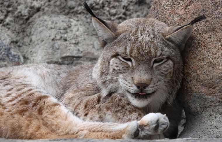    Сергей Булкин/NEWS.ru