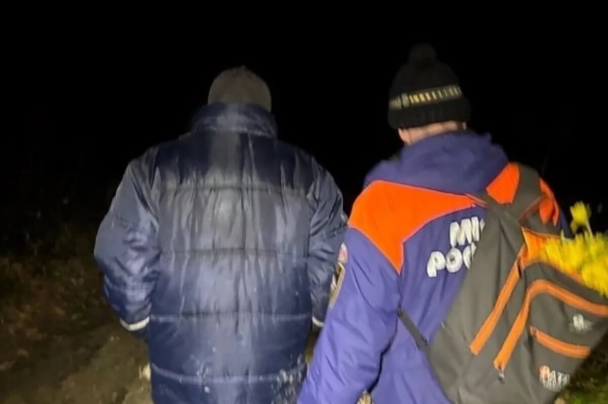    В Сочи спасатели помогли пенсионеру, упавшему на скользком склоне в лесу