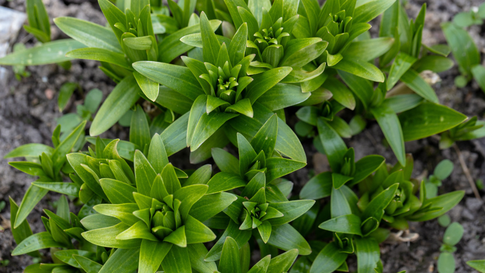 Фото: shutterstock.com