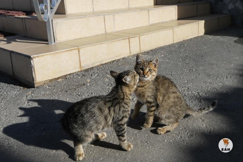    Архивное фото ЕАН