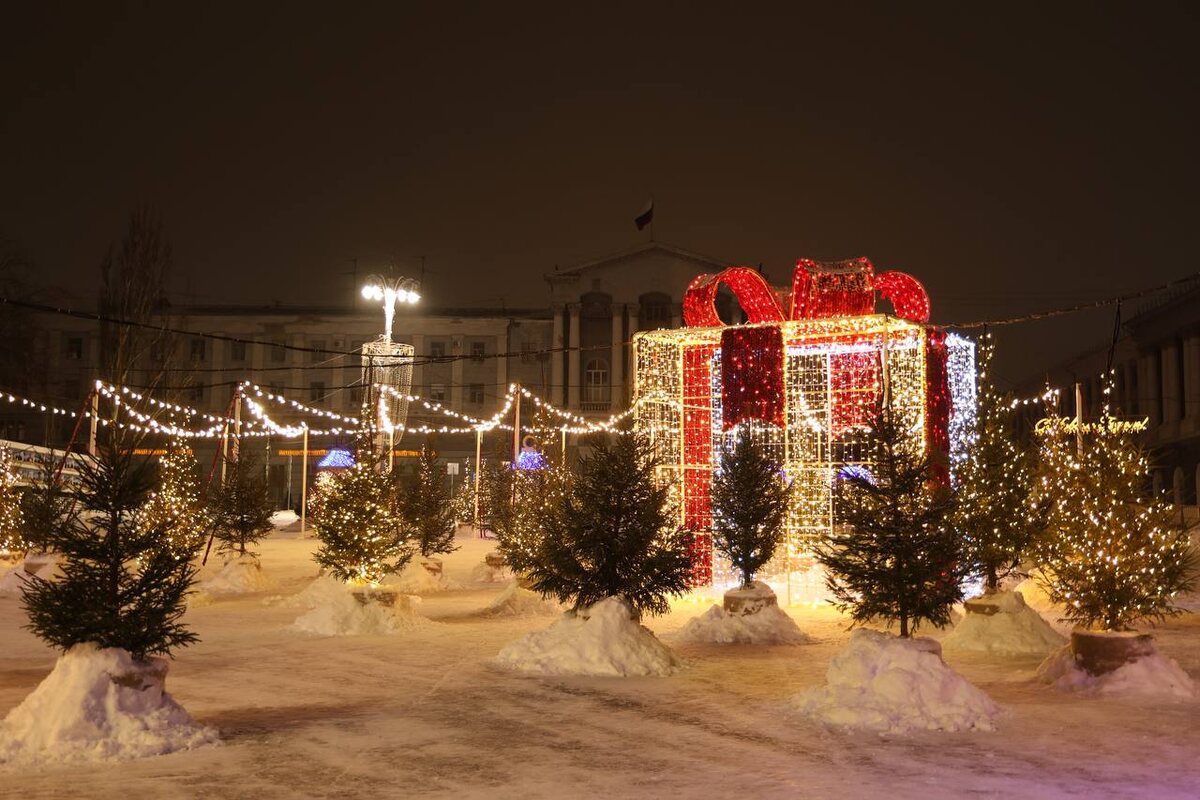    Комитет городского хозяйства рассказал о дальнейшей судьбе елей, которые украшали «Красный лес» в Курске