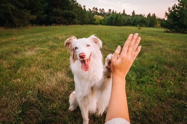    Фото: istockphoto / Julia Suhareva