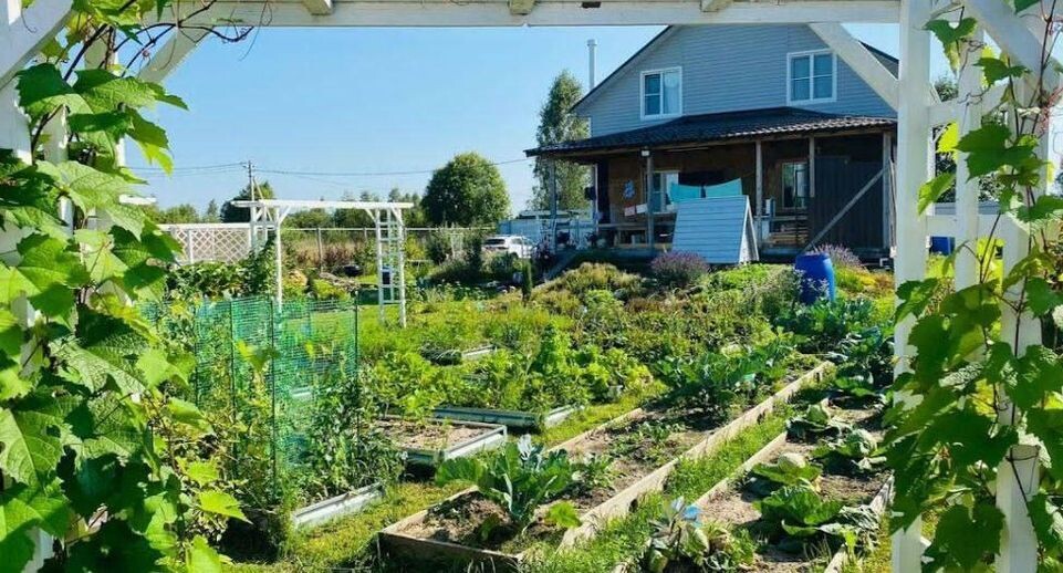    Минимущества МО