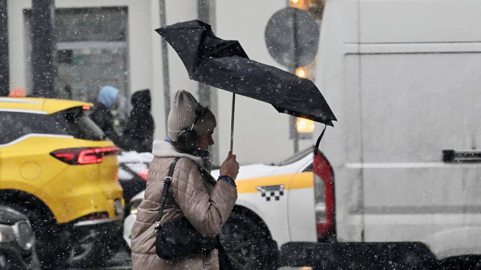 Фото: Анатолий Жданов / Коммерсантъ