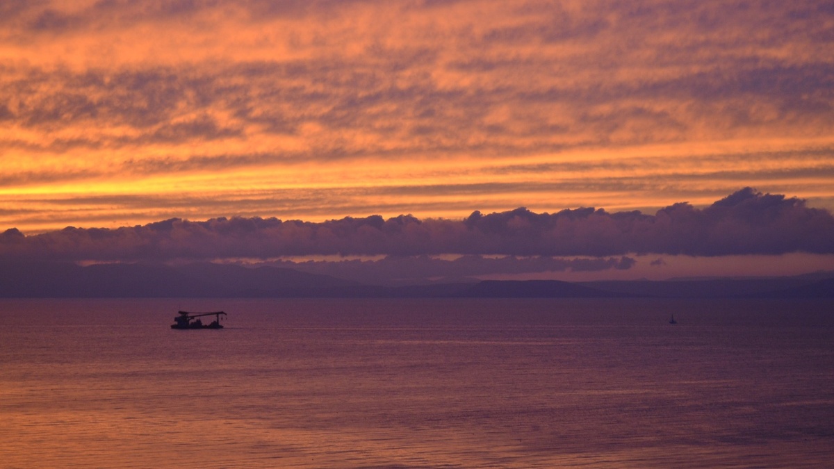     Источник: 1MI