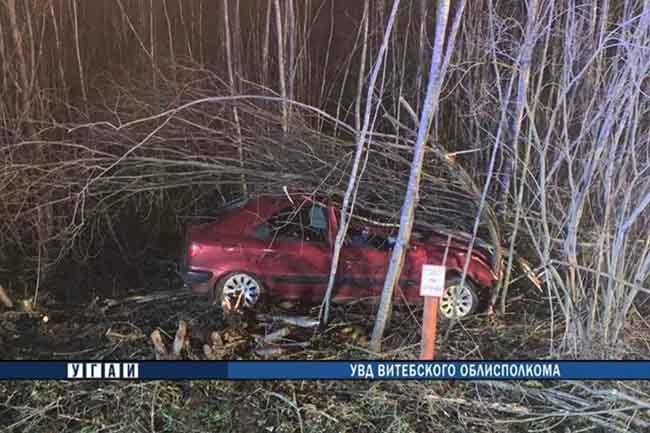 В этом автомобиле находившиеся в удерживающихся устройствах дети в возрасте 7 месяцев и 3 лет остались живы после столкновения с лосем. Животное погибло