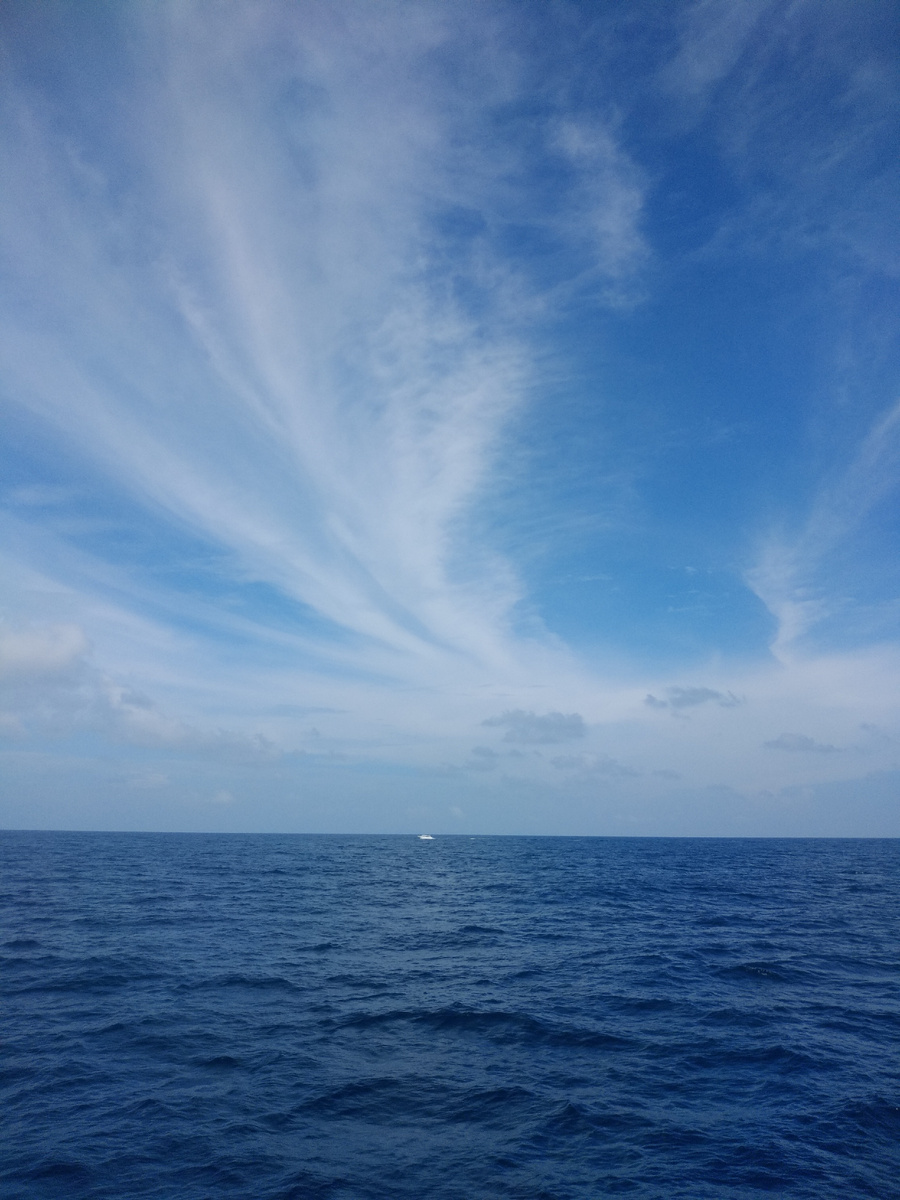 Даже в самой худшей судьбе есть возможности для счастливых перемен.                                  Эразм Роттердамский.