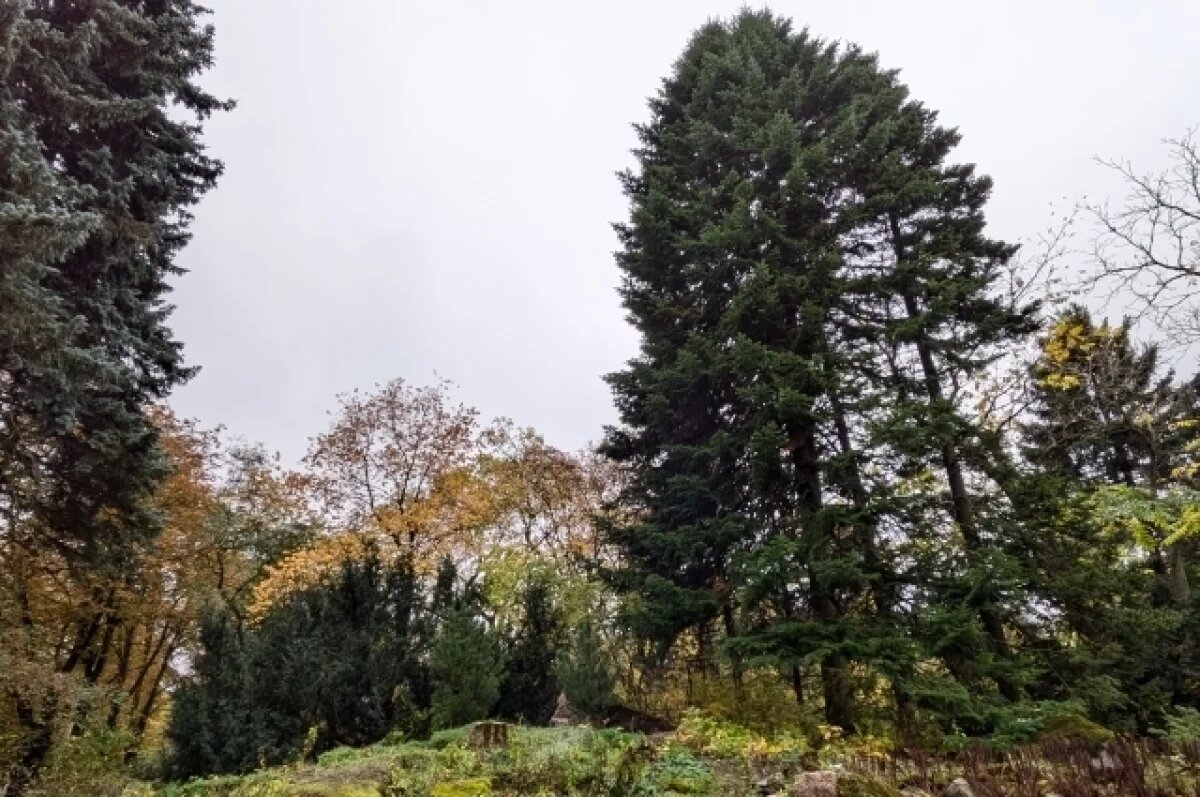    Штрафы за нарушения на зеленых территориях Москвы увеличены в 1,5 раза