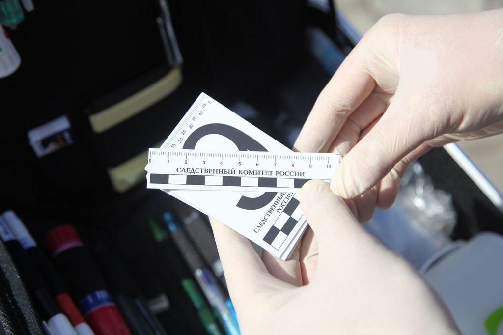    В Сорочинском округе насильника на 18 лет отправили в колонию строгого режима