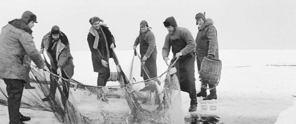 Источник: kinopoisk.ru