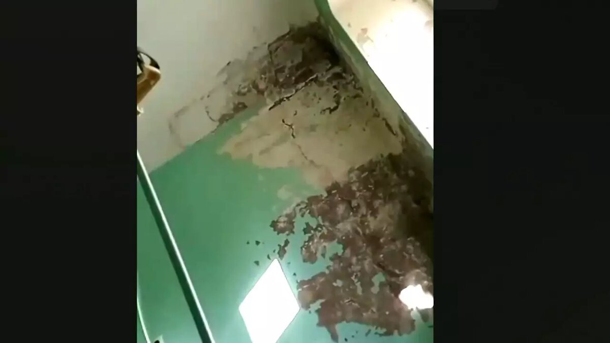     Источник: udm-info.ru