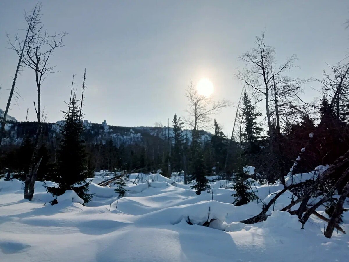 Прячется, думает мы его не видим