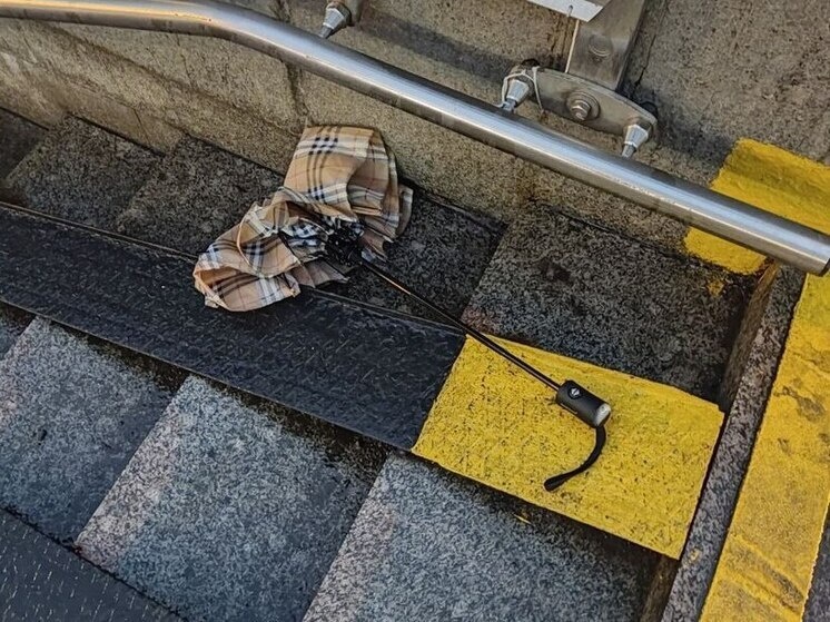     В городе ожидается порывистый ветер до 18 метров в секунду. Фото: МК в Питере