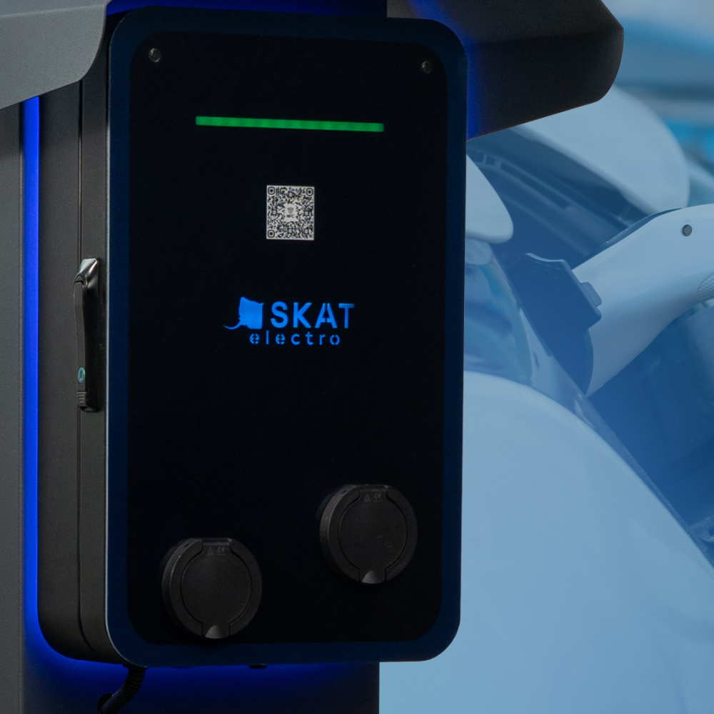 «Адаптеры для электрокаров — зло»: что беспокоит владельцев машин при их зарядке — эксперт 