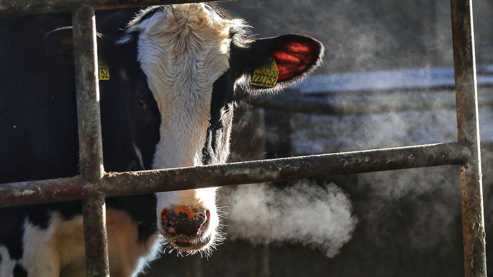 Фото: Артем Краснов / Коммерсантъ