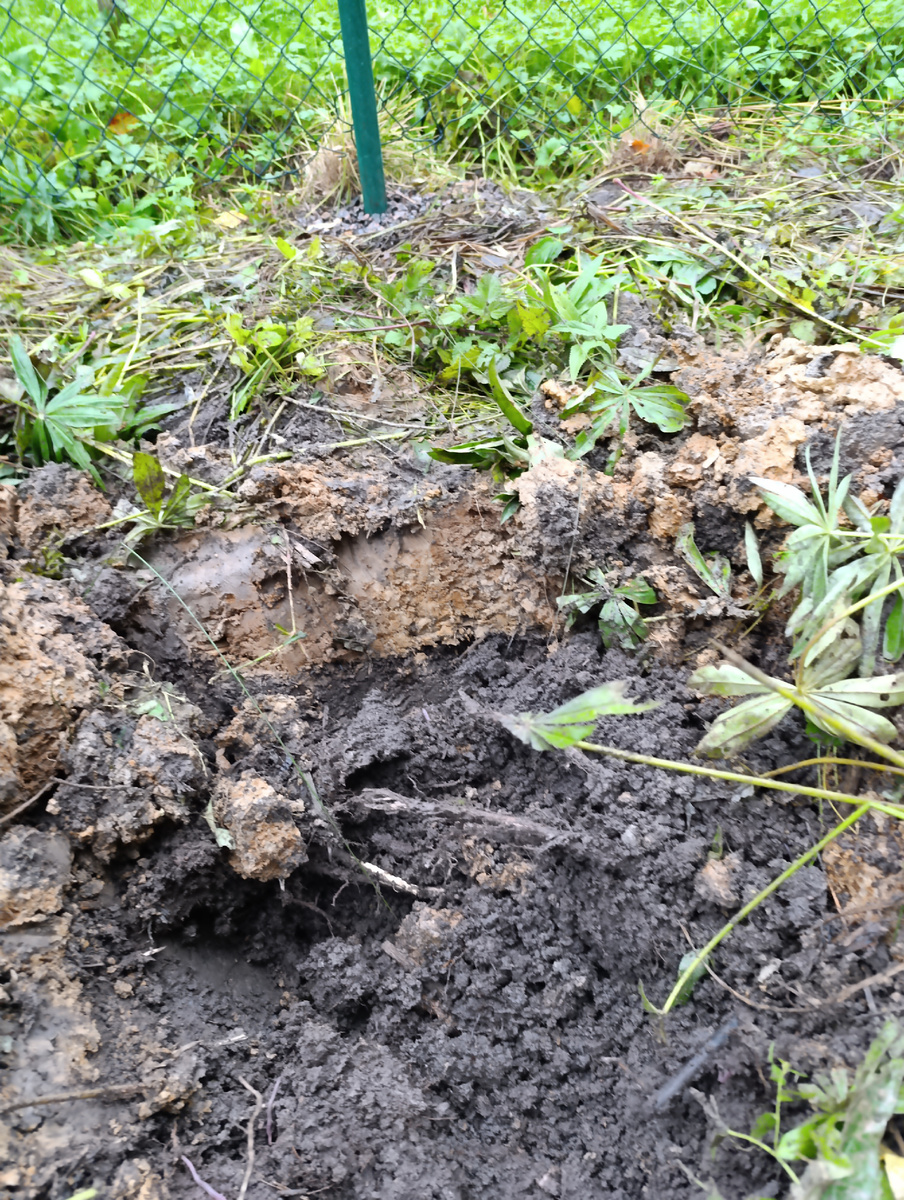 Здесь пласт не цветной. Не смогла найти фото с голубой и белой глиной 😄