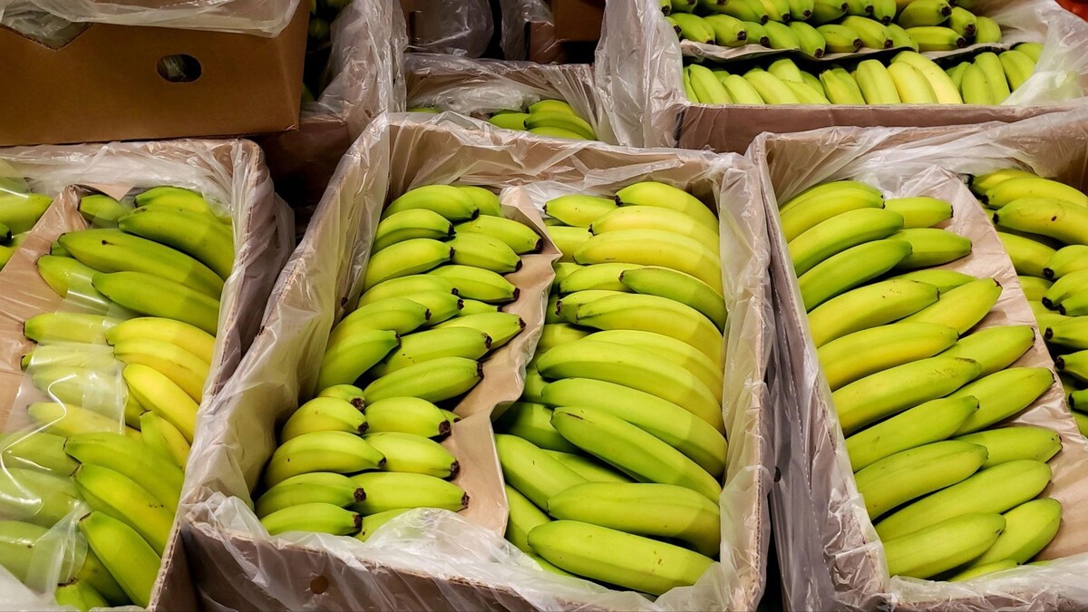    Фото: Gene ploss/Shutterstock/Fotodom