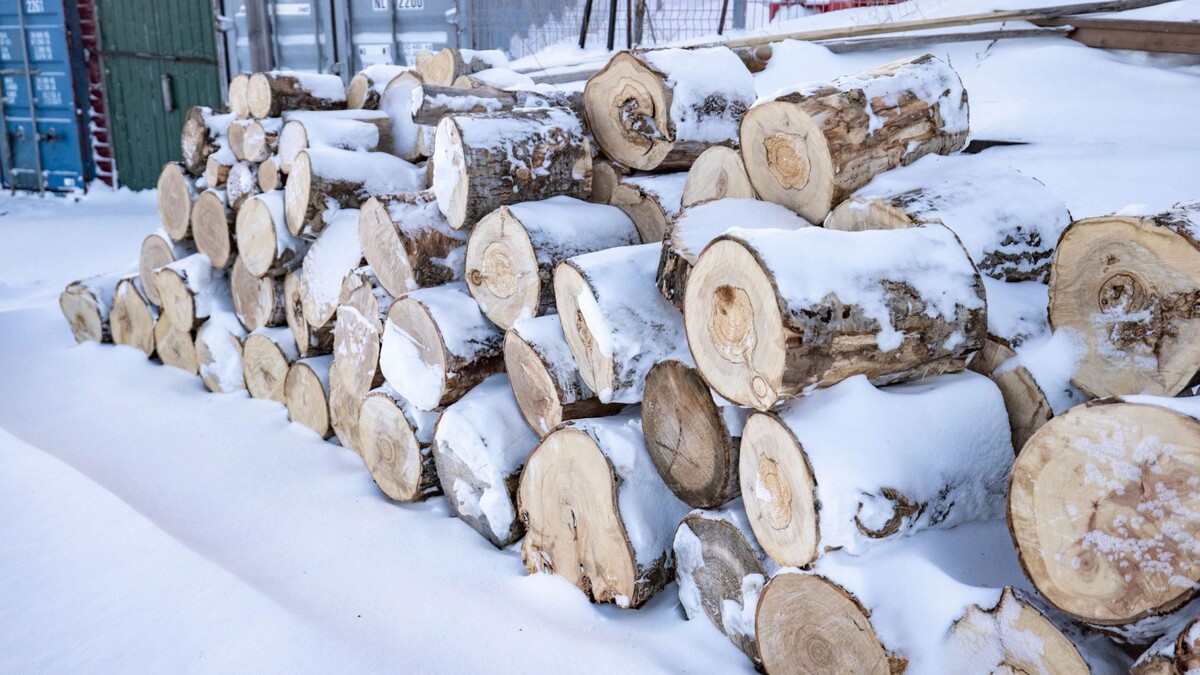    Фото: Сергей Зубков/«Ямал-Медиа»