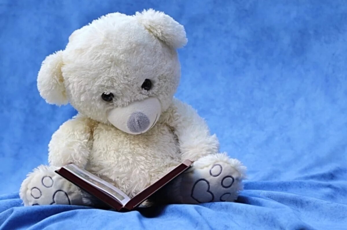    За кражу большого плюшевого медведя воронежцу грозит до 4 лет тюрьмы