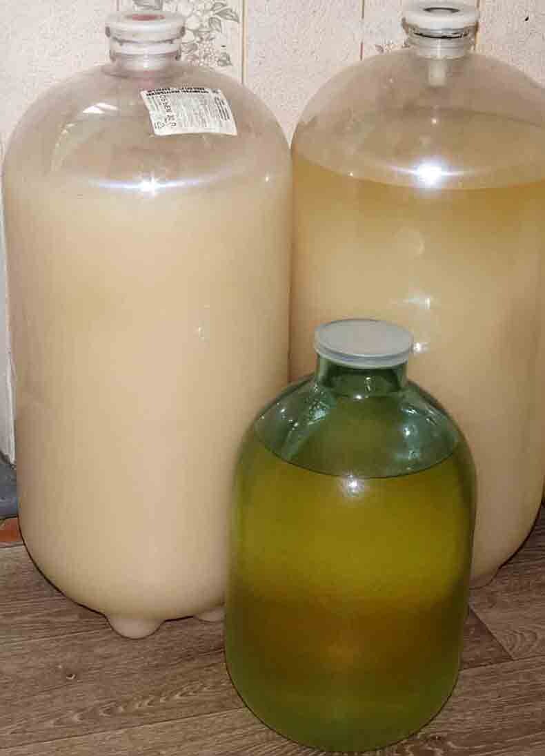 В 30-литровых баклажках брага на осветлении только 1 день. В 10-литровой банке брага от предыдущей партии. Такая желтоватая прозрачная брага у меня заливается в перегонный куб.